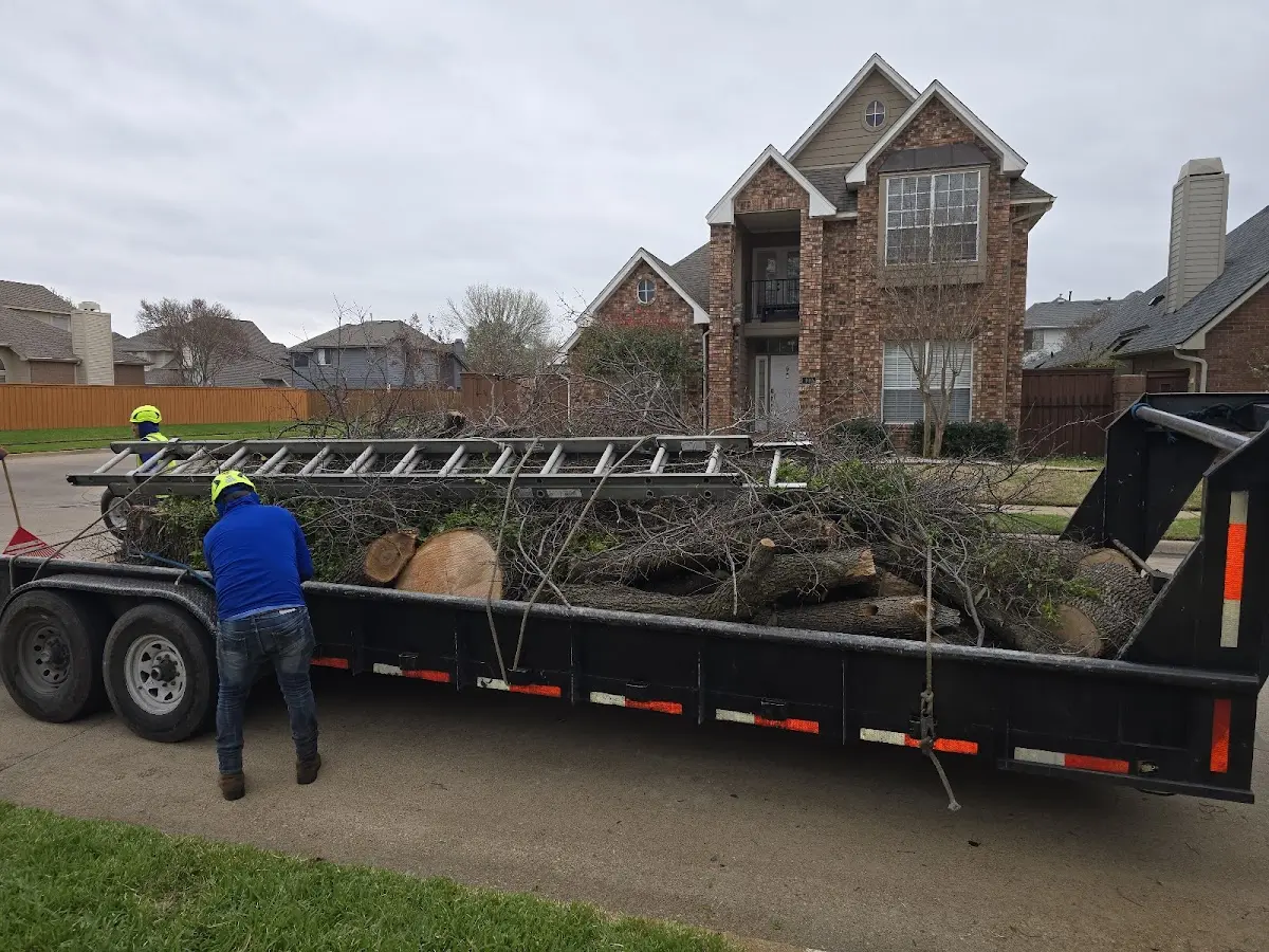 Expert Lot Clearing with proper safety equipment in Patricksburg